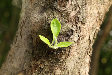 Similar image 22642813