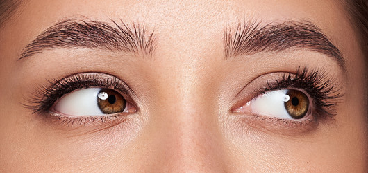 Similar image 22632721