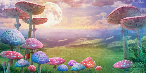 Similar image 22634232