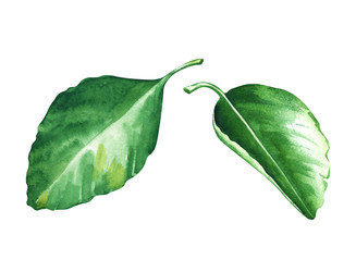 Similar image 22637724