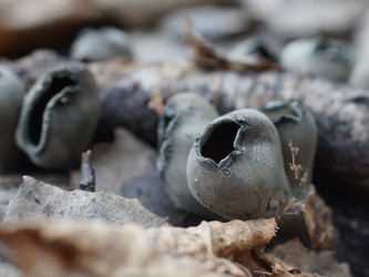 Similar image 22632465