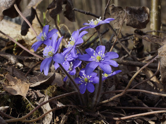 Similar image 22632466