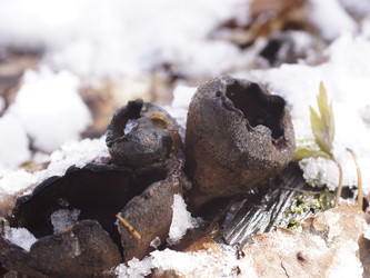 Similar image 22632467