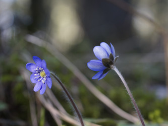 Similar image 22632468