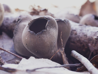 Similar image 22632469