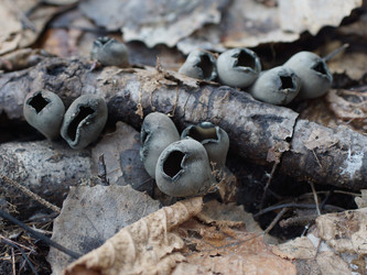 Similar image 22632470