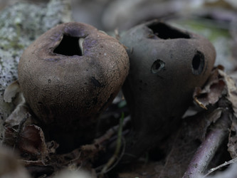 Similar image 22632471