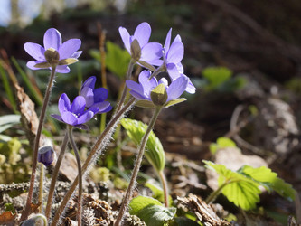 Similar image 22632472