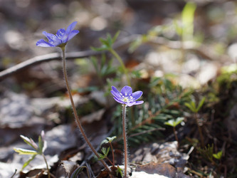 Similar image 22632473