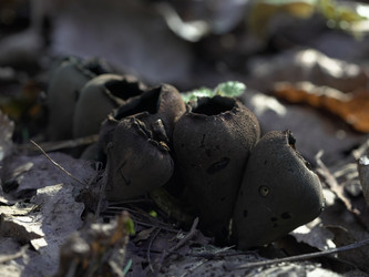 Similar image 22632474