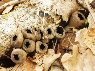 Similar image 22632475