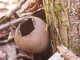 Similar image 22632476