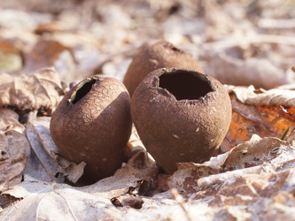 Similar image 22632477