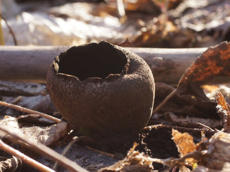 Similar image 22632478