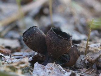 Similar image 22632479