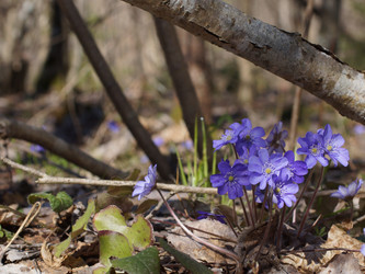 Similar image 22632480