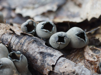 Similar image 22632481