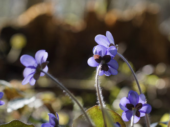 Similar image 22632482