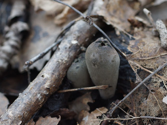 Similar image 22632483