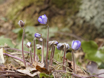 Similar image 22632485