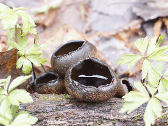 Similar image 22632486