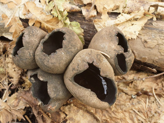 Similar image 22632487