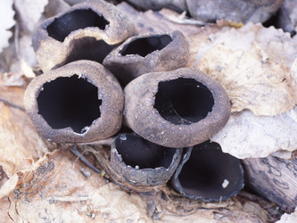 Similar image 22632488