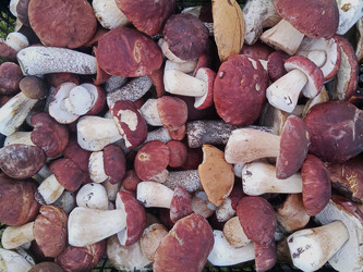 Similar image 22632489