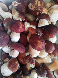 Similar image 22632490