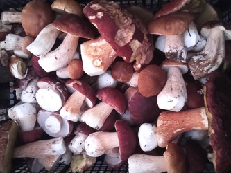 Similar image 22632491