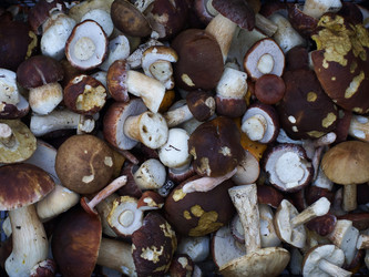 Similar image 22632492