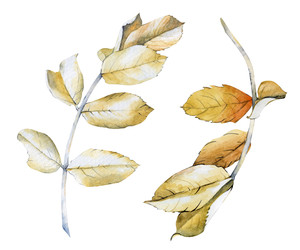 Similar image 22637737