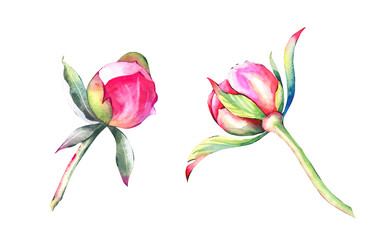 Similar image 22637738