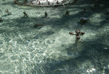 Similar image 22635495