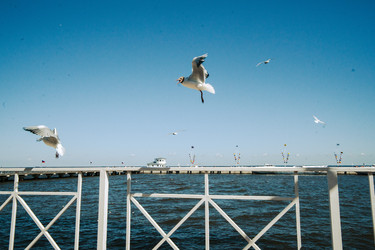 Similar image 22635496