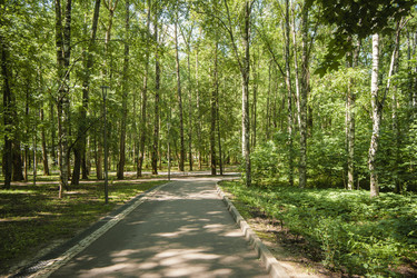 Similar image 22635497