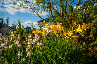 Similar image 22635499