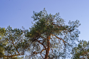 Similar image 22635506