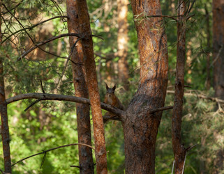 Similar image 22635515