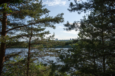 Similar image 22635516