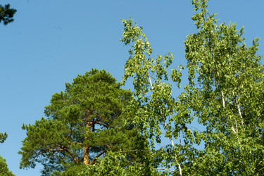 Similar image 22635517