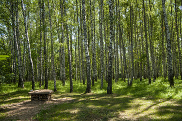 Similar image 22635518