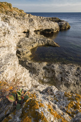 Similar image 22635522