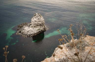 Similar image 22635536