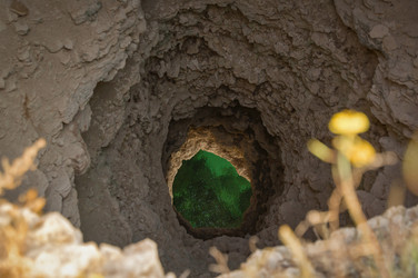 Similar image 22635544