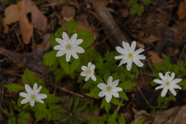 Similar image 22636987