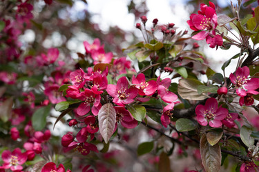 Similar image 22636988