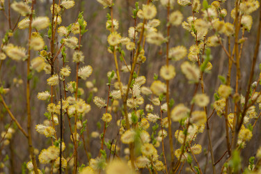 Similar image 22636989