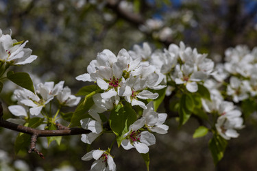 Similar image 22637002