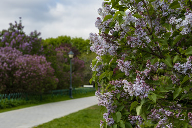 Similar image 22637003